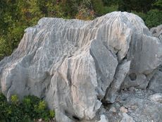 Italien Friaul Kliffe von Duino Rilke-Weg 011.JPG